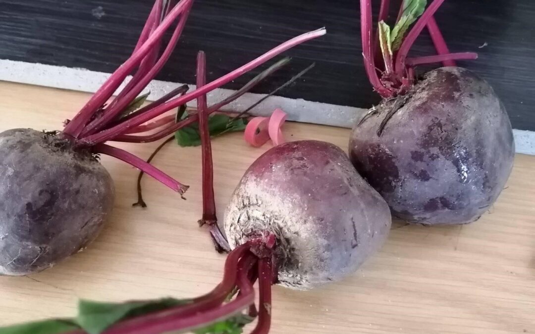 Let’s get ‘beetuiful’ with beets!