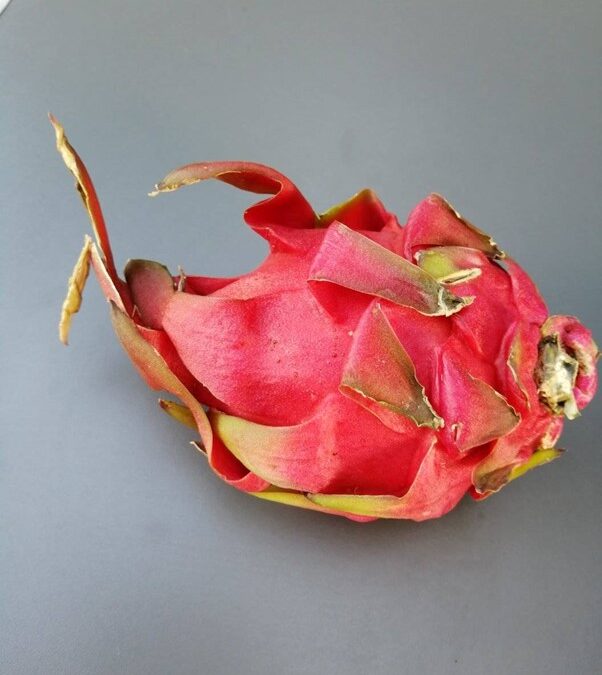 Purple delight is dragon fruit